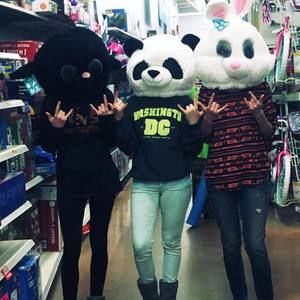 Meet your Posher, Danielle